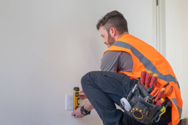 Best Affordable Electrician  in Orono, MN